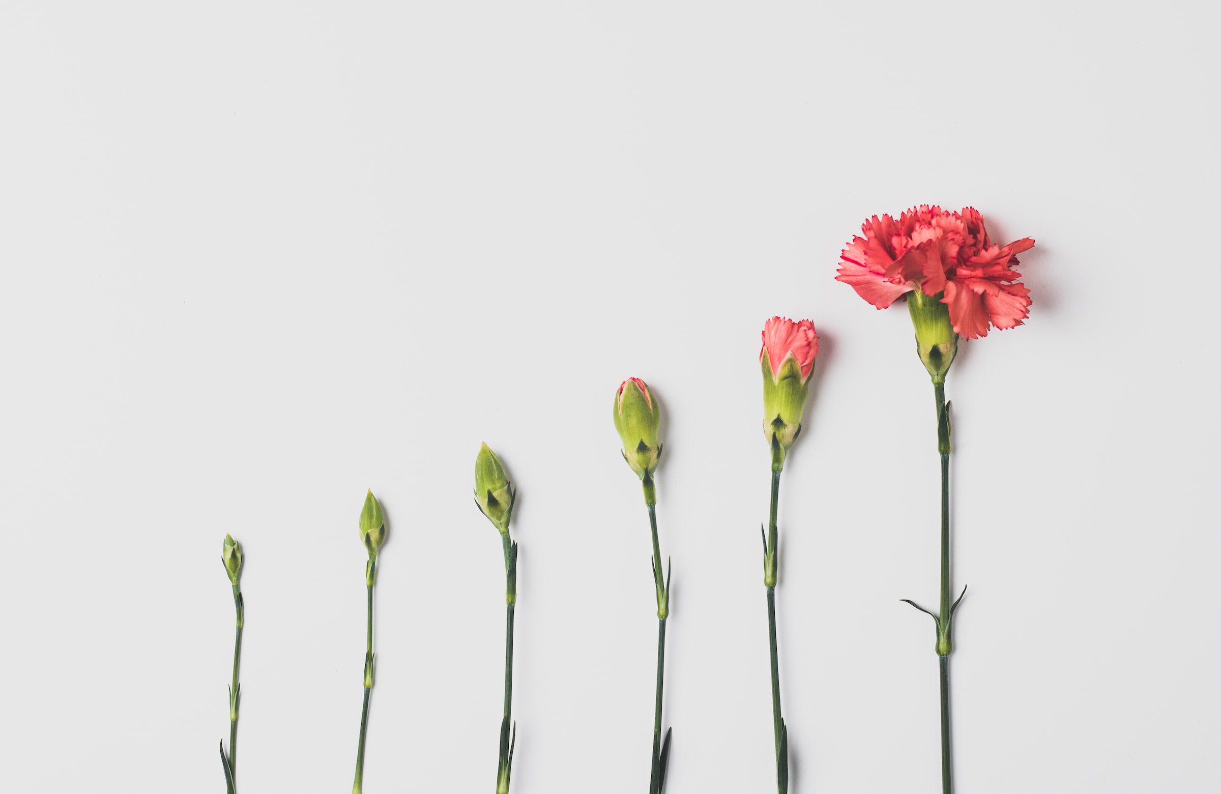 Unsplash | Edward Howell