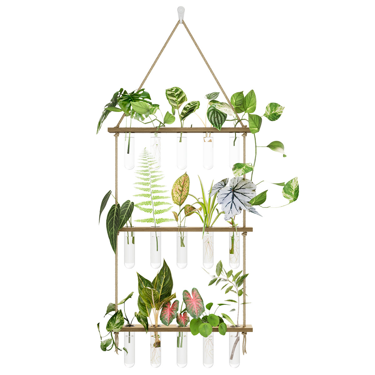 East Urban Home Propagation Station With Wooden Stand, 5 Glass Test Tubes Wall Plant Holder for Plant Wall, 3 Tiered Propagation Terrarium for Home Office, Hydroponic Cuttings Vases | Wayfair