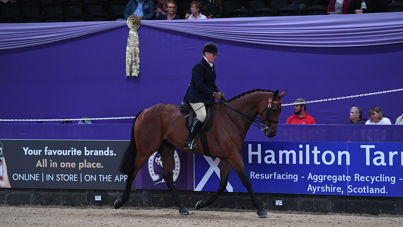 HOYS 05 10 22