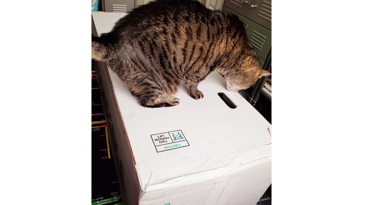 Tuft and Needle mattress review