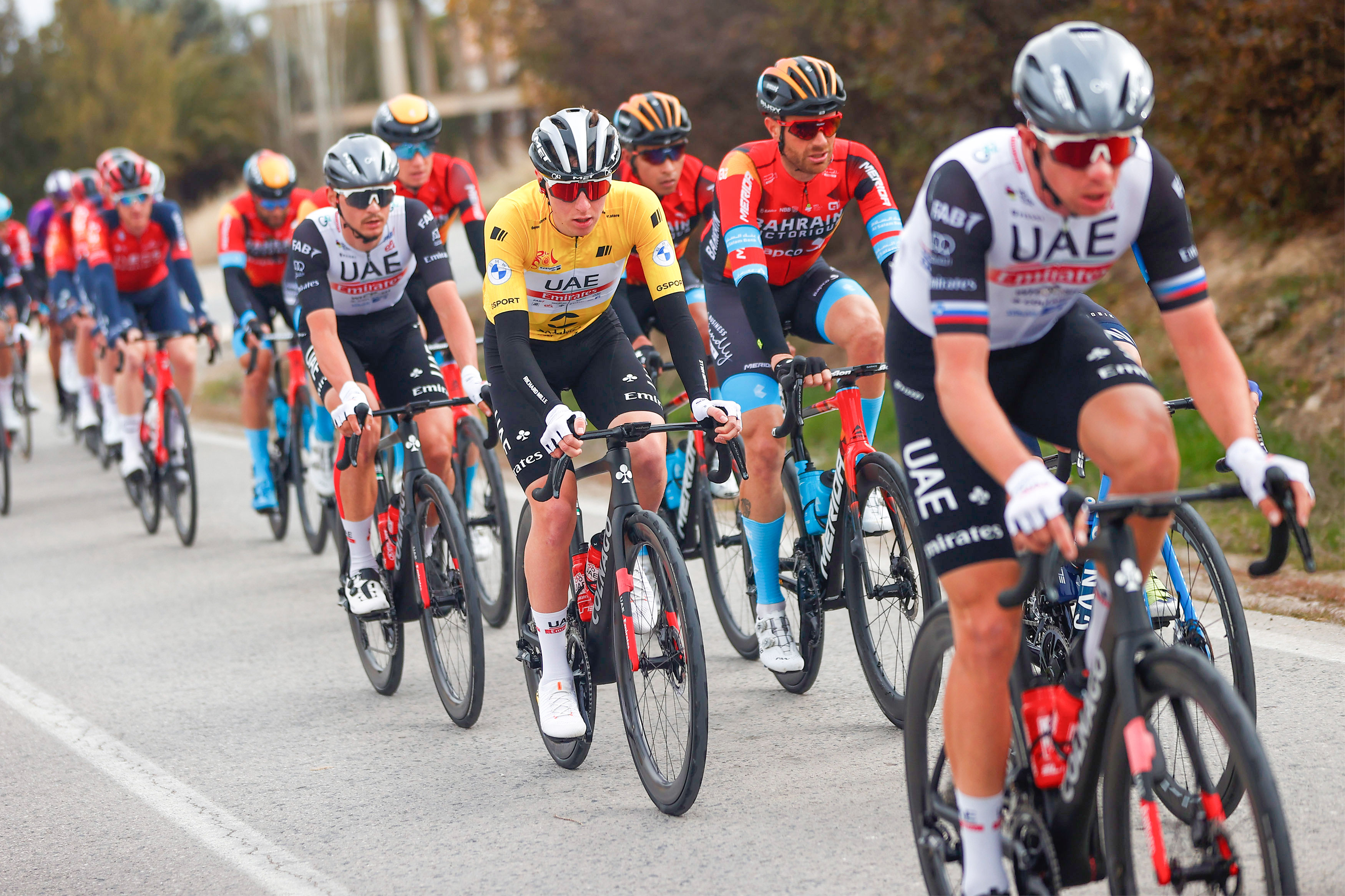 Vuelta a Andalucia Ruta Ciclista Del Sol 2023 - 69th Edition - 5th stage Otura - Alhaurin de la Torre 184,3 km - 19/02/2023 - Tadej Pogacar (SLO - UAE Team Emirates) - photo Luis Angel Gomez/SprintCyclingAgency©2023