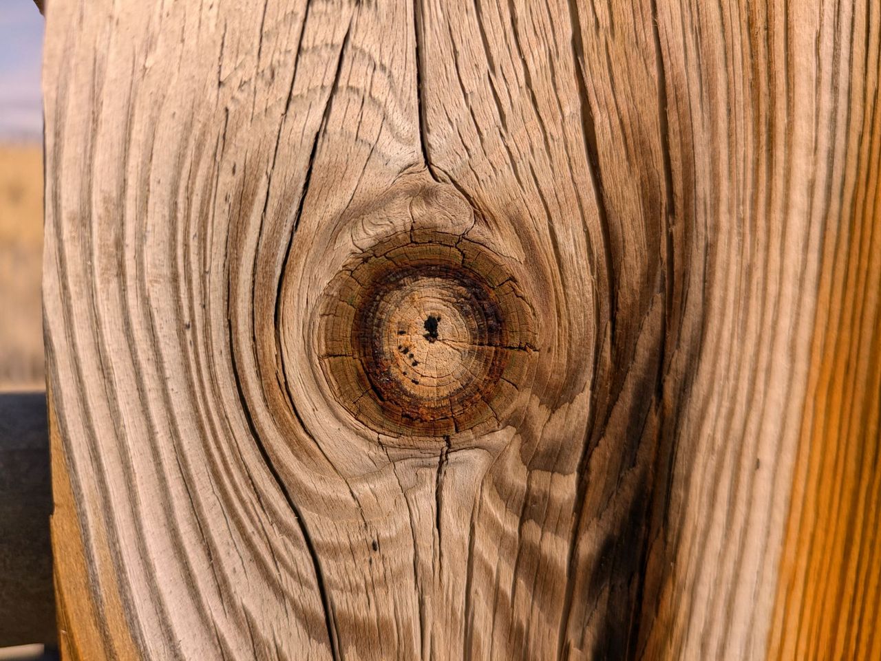 Google Pixel 8a closeup sample.