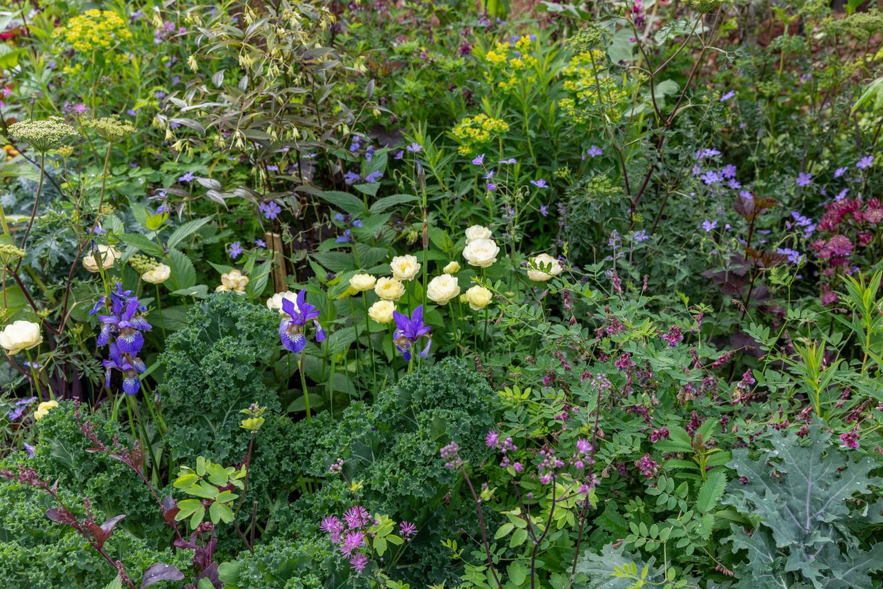 Close up and details of the King's Garden at RHS Chelsea, showing the planting and the central oak structure