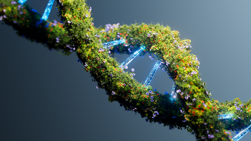 a double-helix of DNA is studded with colorful flowers and leaves