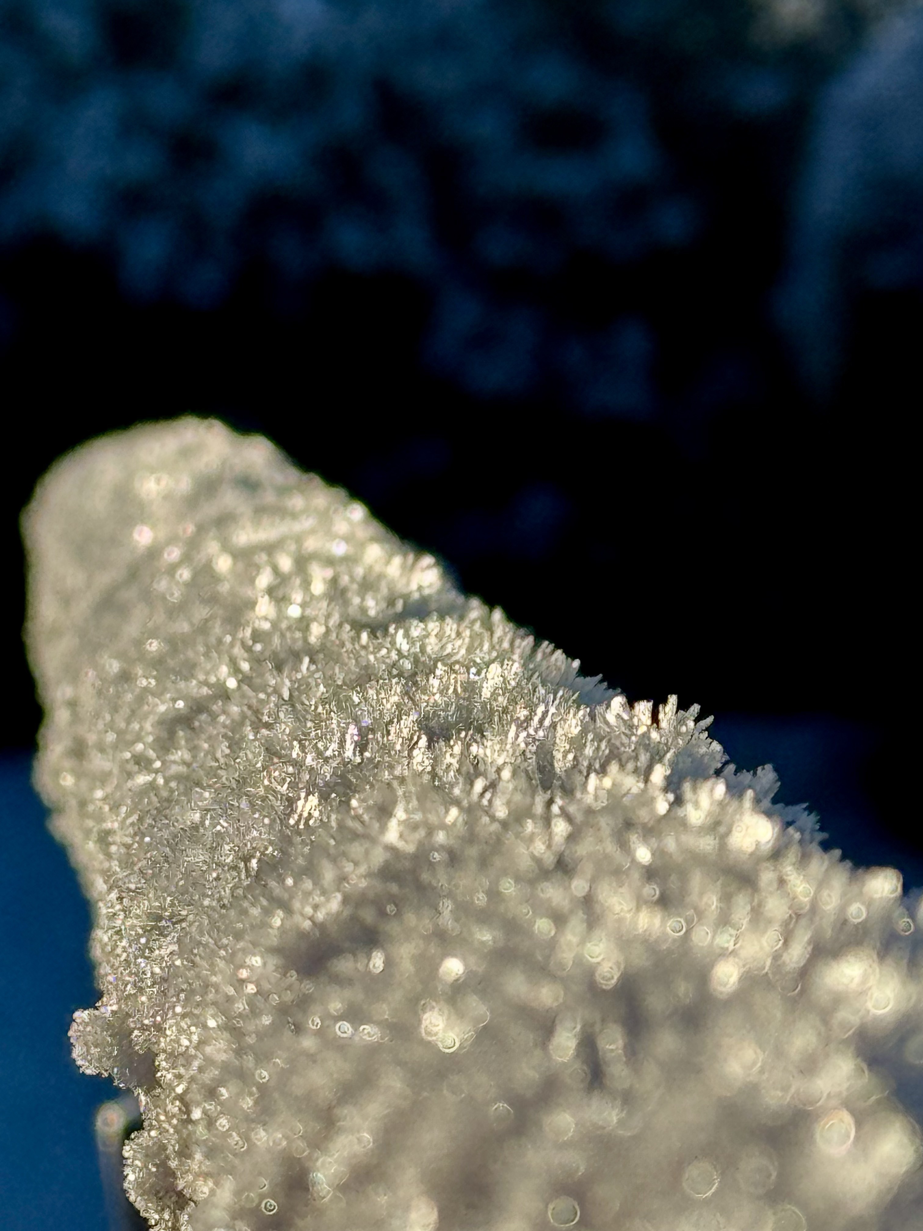 GuruShots - February 2026