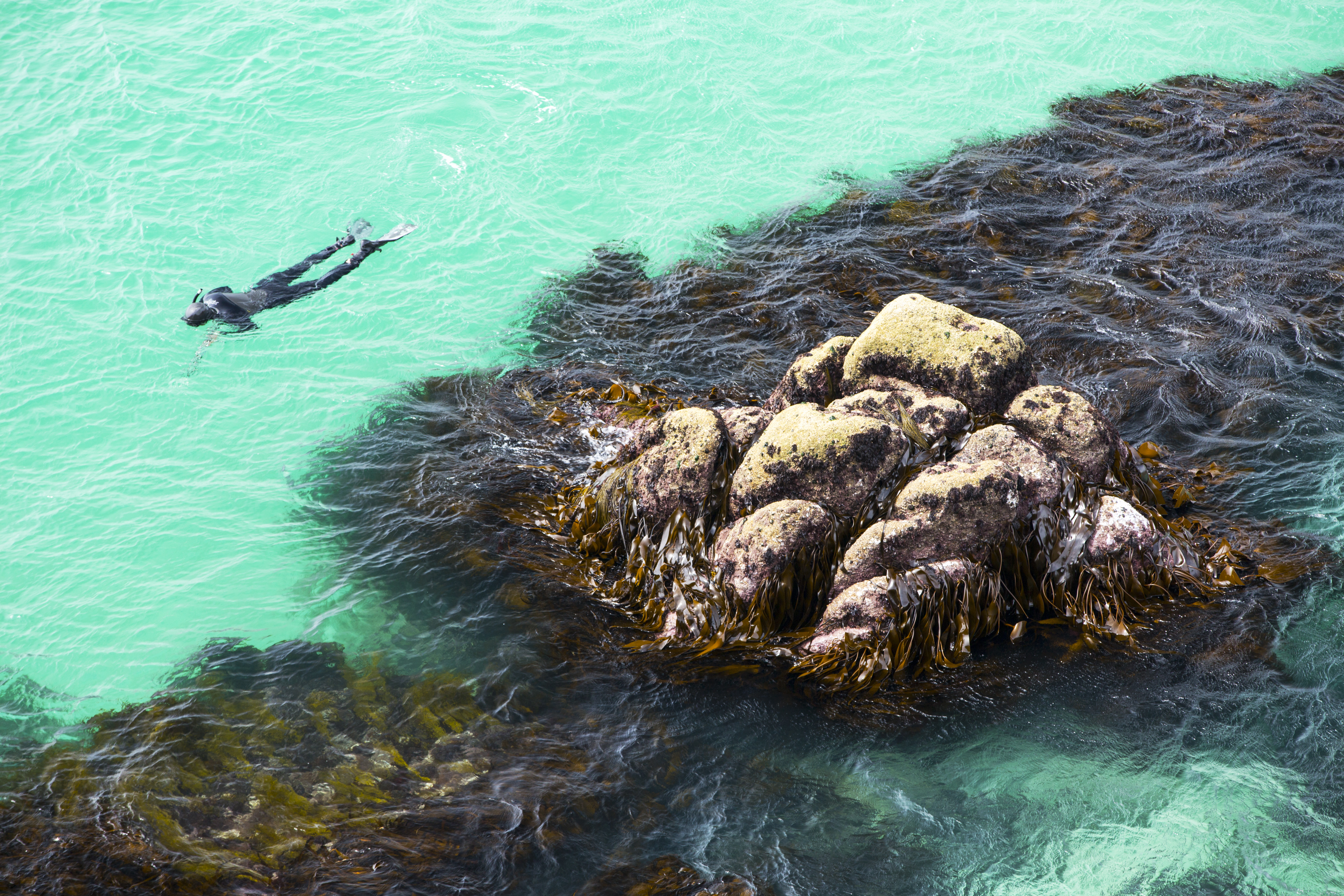 A man spear fishing off Porthcurno, Cornwall