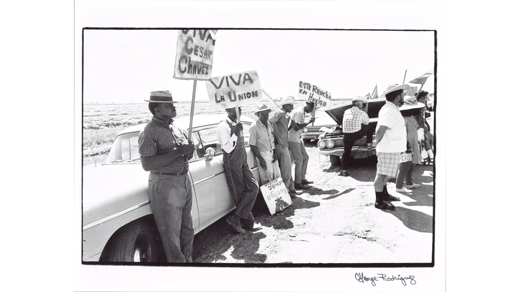 Diverse Views Beyond Protest