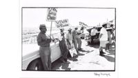 Black and white photograph of farm workers leaning against parked cars, holding hand-lettered picket signs reading "Viva Cesar Chavez" and "Viva La Union". (landscape)