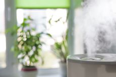 humidifier in room with greenery in background