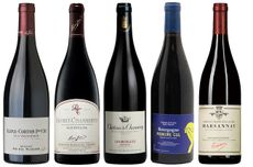 value red Burgundy 2020
