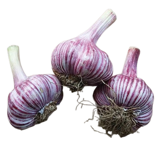 three bulbs of garlic