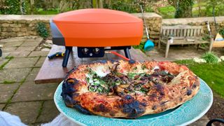 Witt ETNA Rotante Pizza Oven results of pizza