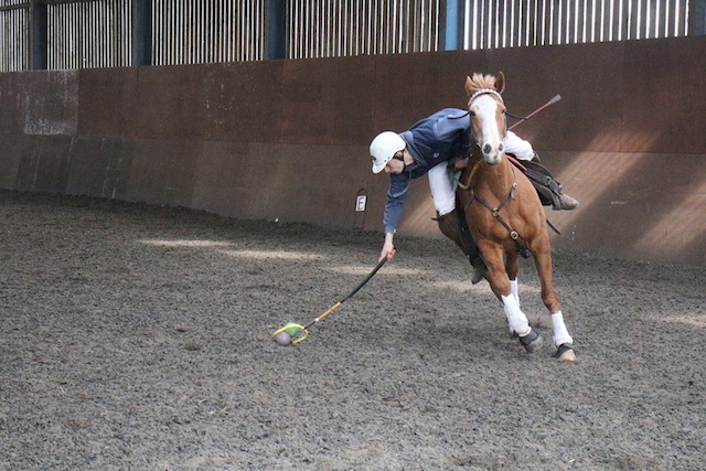 British polocrosse team member Max Pedley on a Tudor Rose Equines taster day