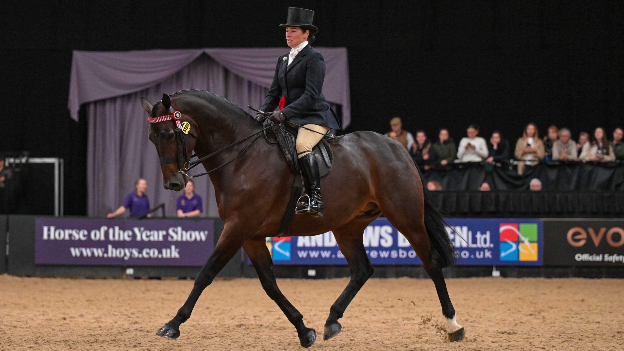 Vicky Smith and Tremarl Timpani claim the 2025 riding horse of the year title
