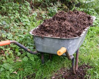wheelbarrow with compost