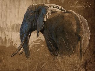 Discover the beautiful animal art of Aaron Blaise