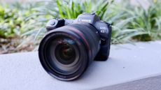 Canon EOS R5 with the RF 24-105mm lens