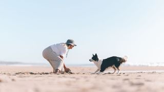 woman playing with dog on beach