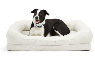 EveryYay Snooze Fest Orthopedic Cuddler Dog Bed