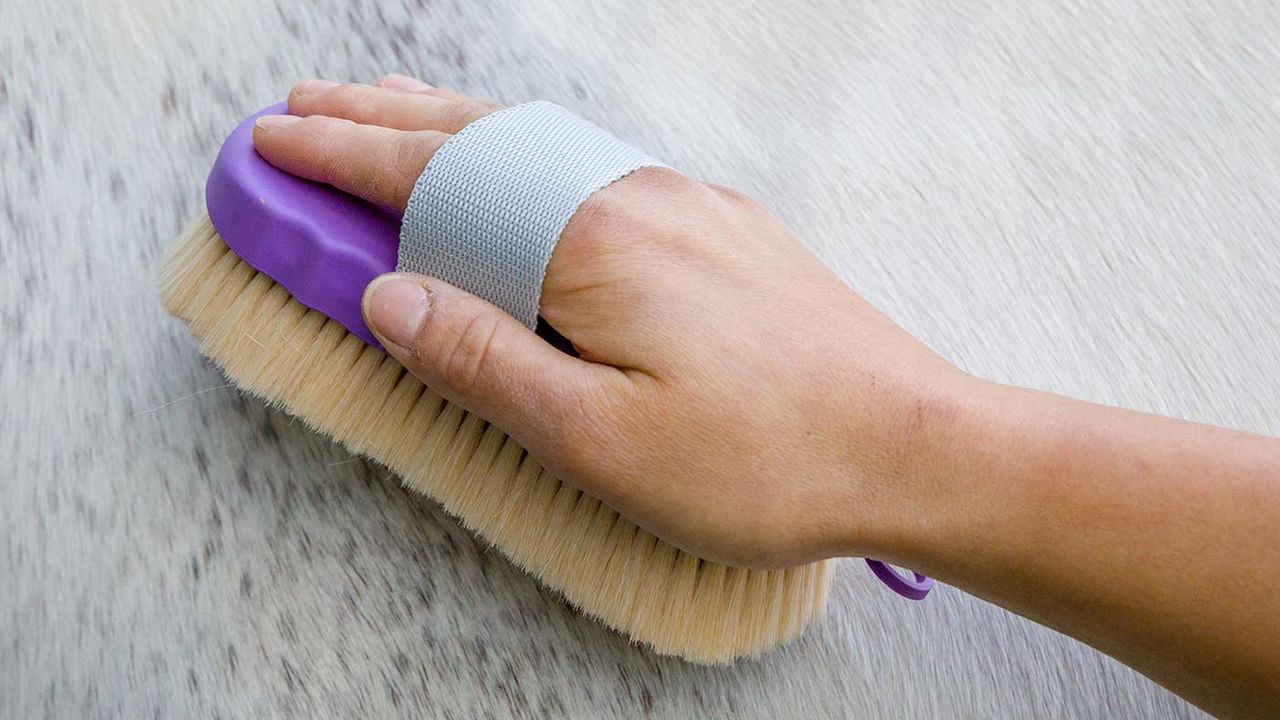 Shires Ezi-Groom Contour goat hair body brush review