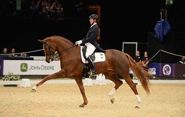 Woodlander-Farouche-HOYS.jpg