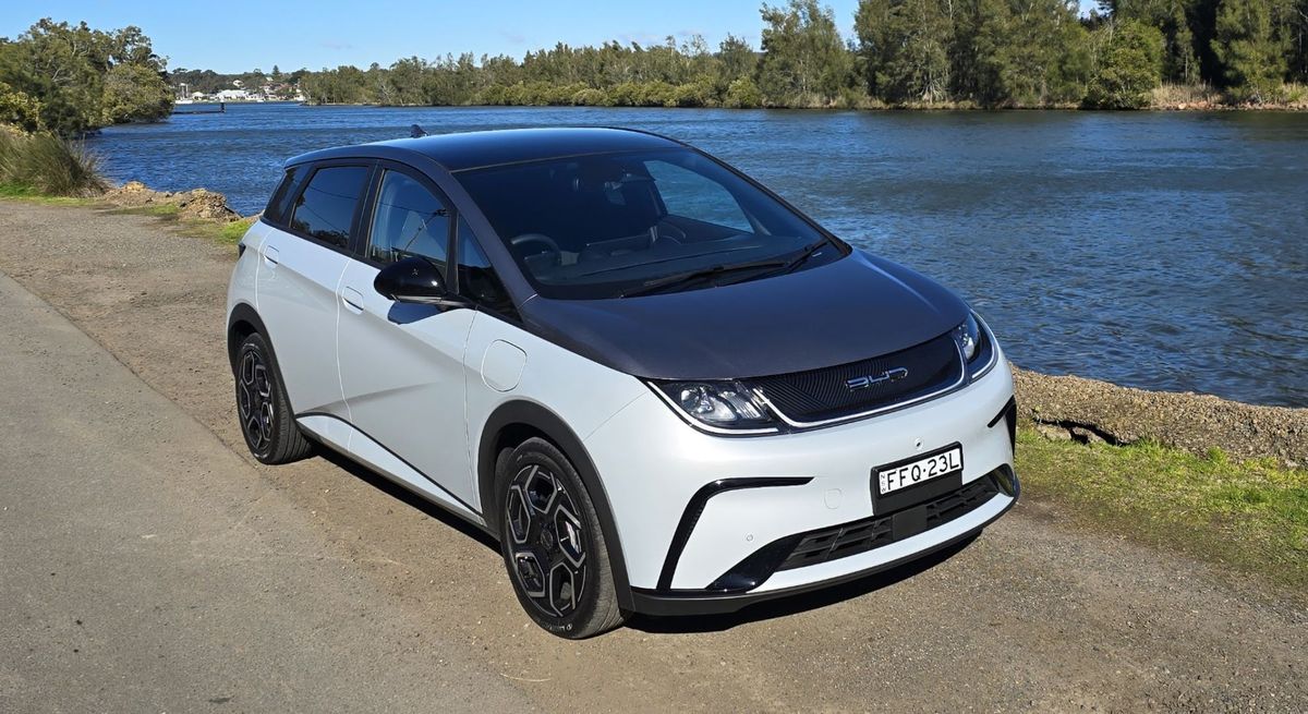 The BYD Dolphin parked by the side of the road beside a lake