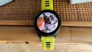 A custom Garmin Connect IQ watch face showing a cat.