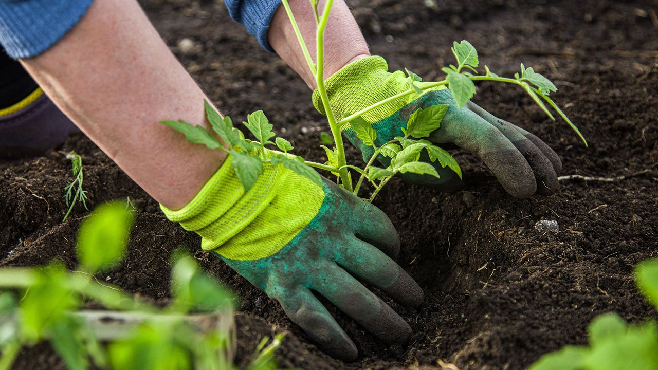 Your soil might still be compacted from winter — here's how to fix it before planting