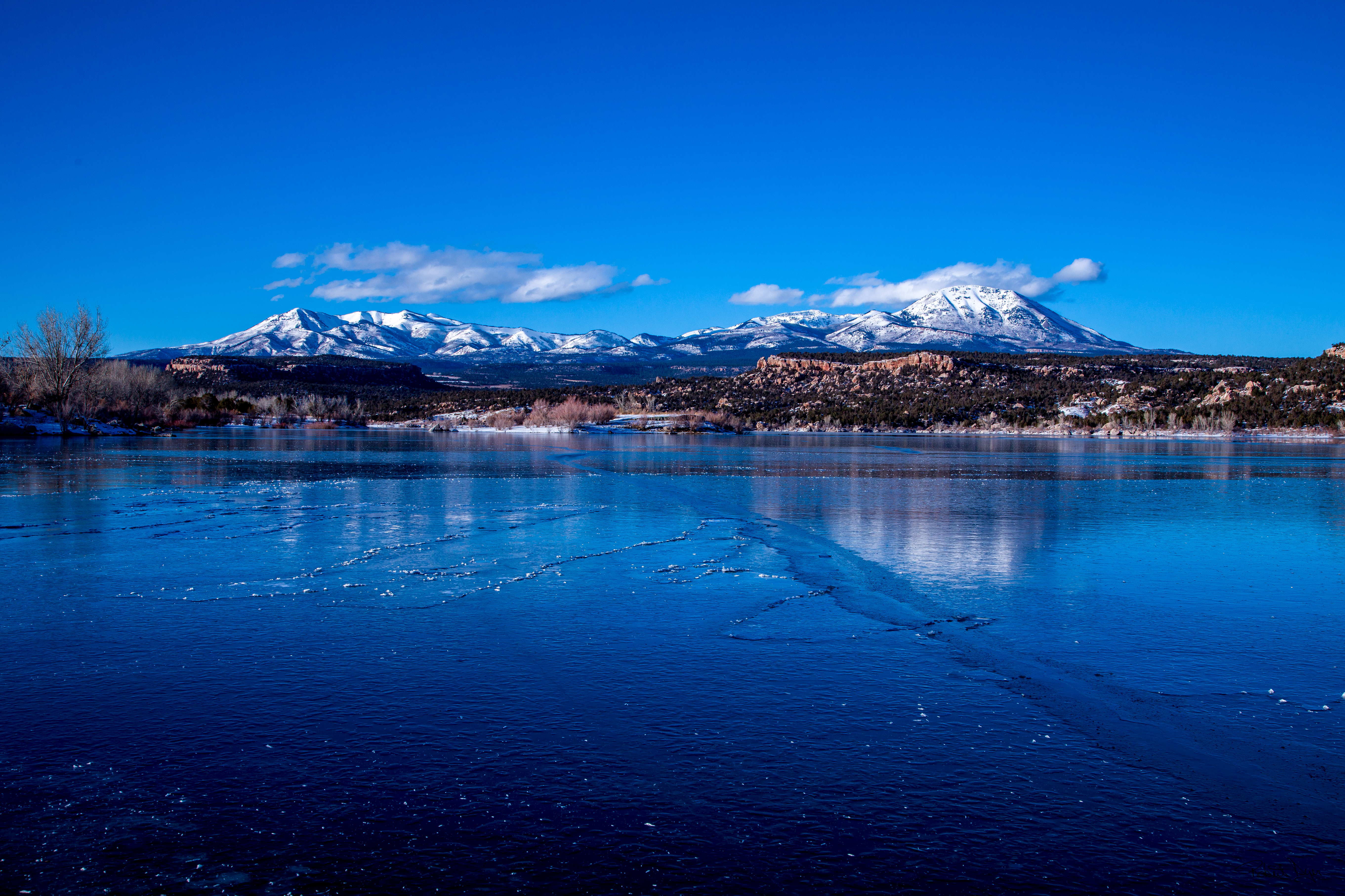 GuruShots - Nature March 2026