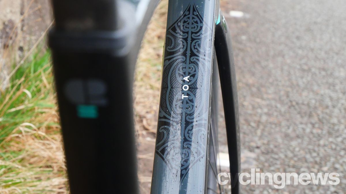 Chapter 2 Toa paintwork details