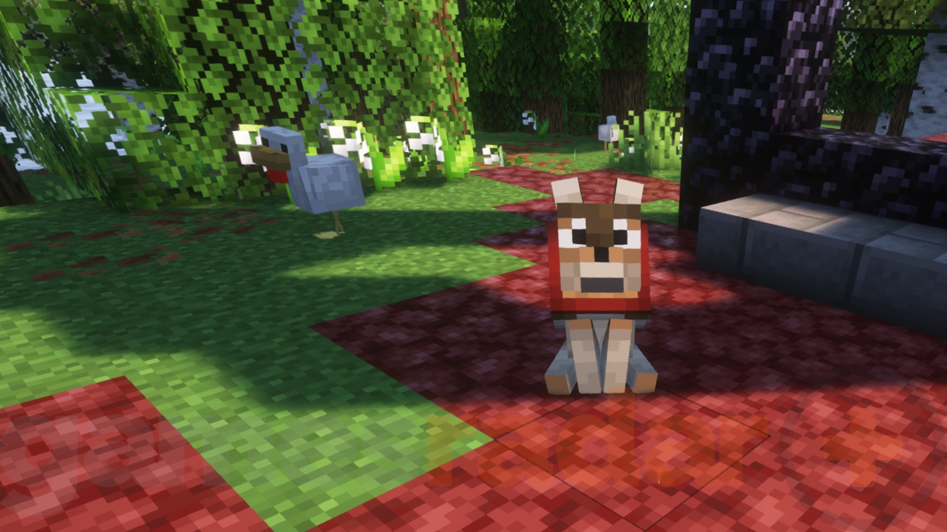 A dog sits down as a chicken waddles behind it with the Fresh Animations Minecraft mod installed.