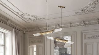 ceiling moulding and contemporary ceiling lights