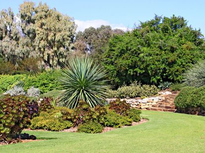Green Australian Style Garden