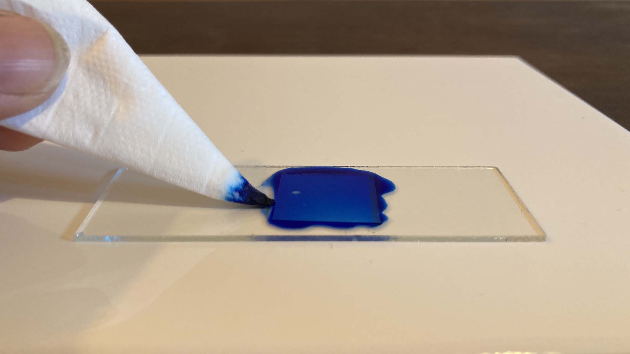 microscope slides
