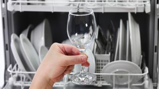 A clean wine glass held outright in front of a dishwasher