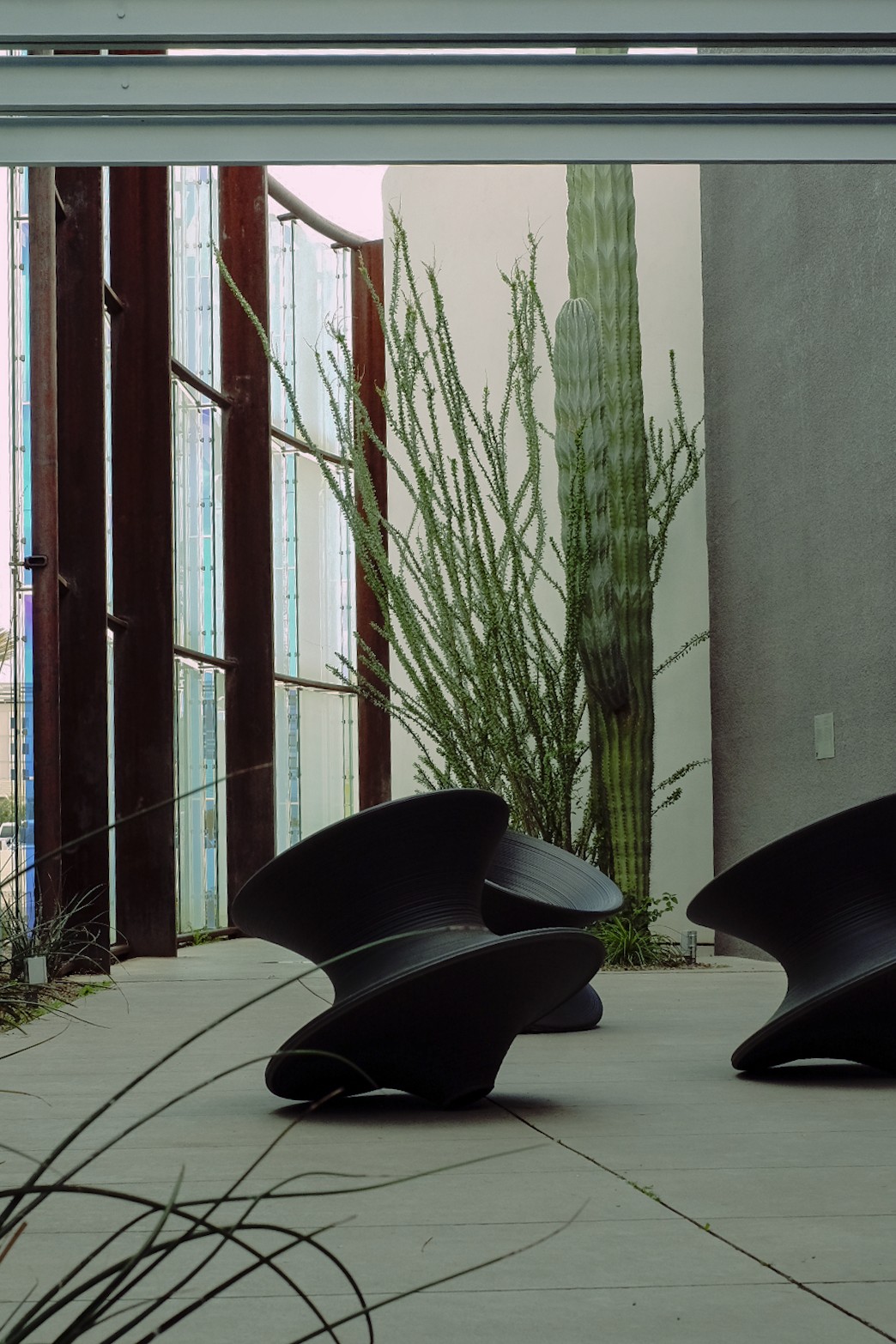 The brutalist interior of a museum features towering cacti next to spinning tops in dark wood and glass and wood walls.