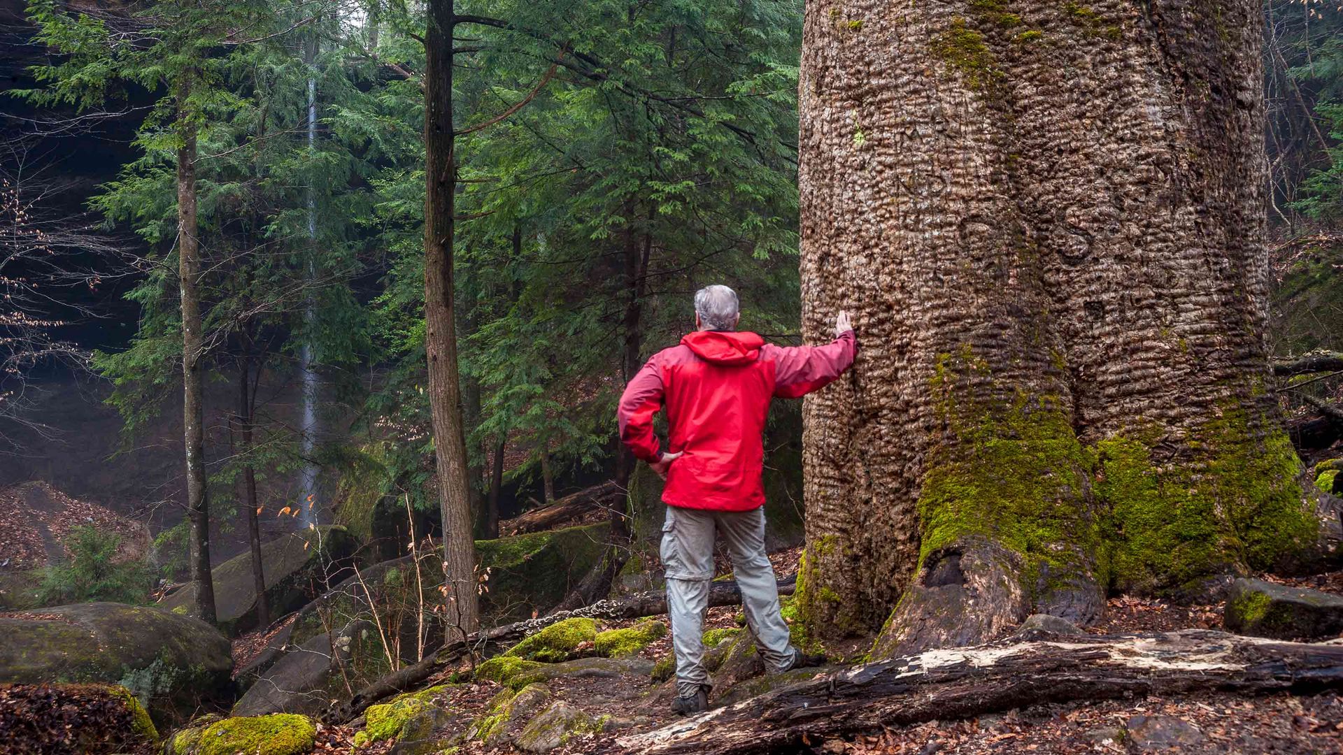 Alabama Taxes on Retirees