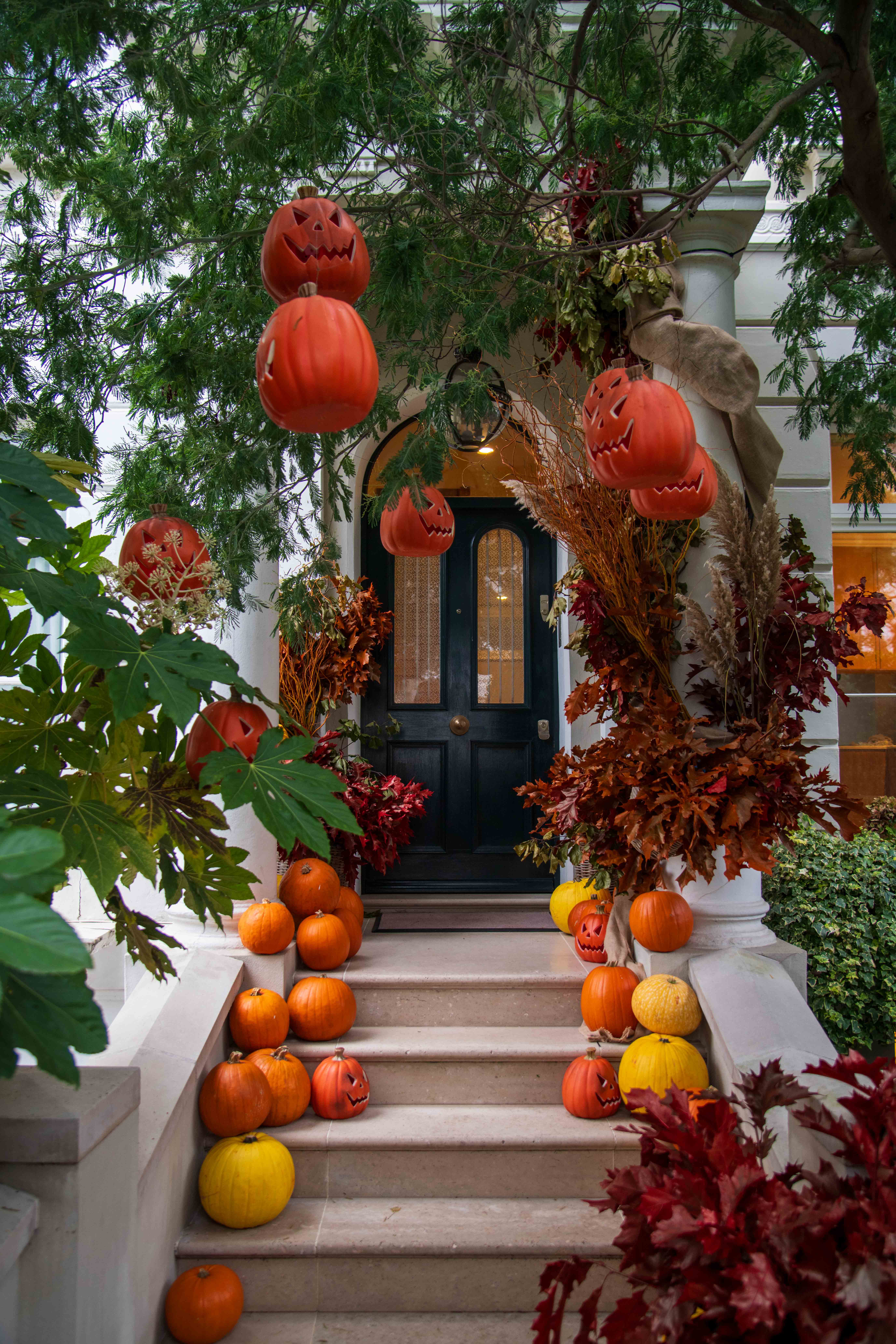 Pumpkins lining the steps of a London townhouse with a black front door