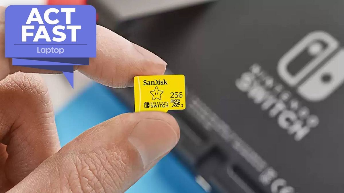 SanDisk microSD card