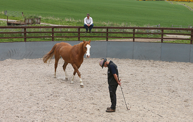Horseback UK