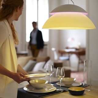 dining table with ceiling light