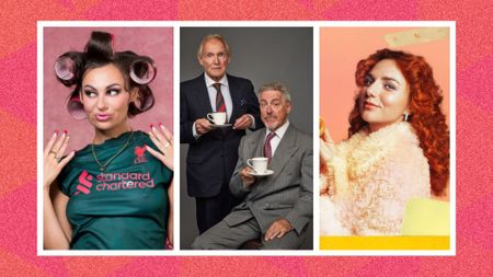 an image of three of the posters spliced together against a pink patterned background