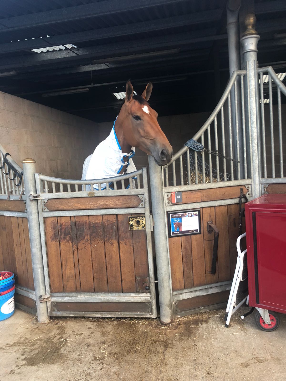 April-stable-1.jpg