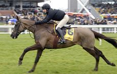 Denman-2b-13-2-16.jpg