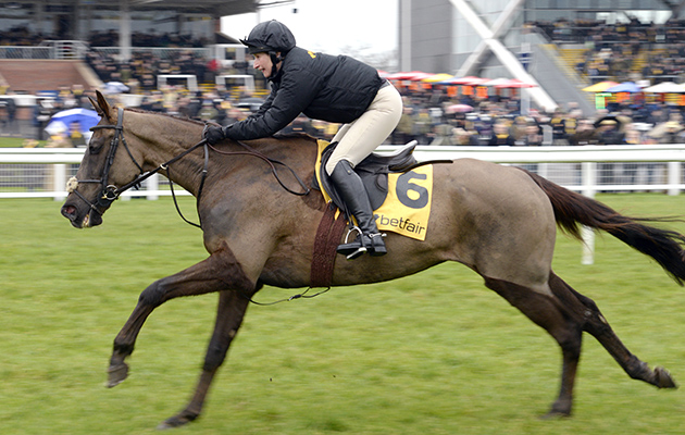 Denman-2b-13-2-16.jpg