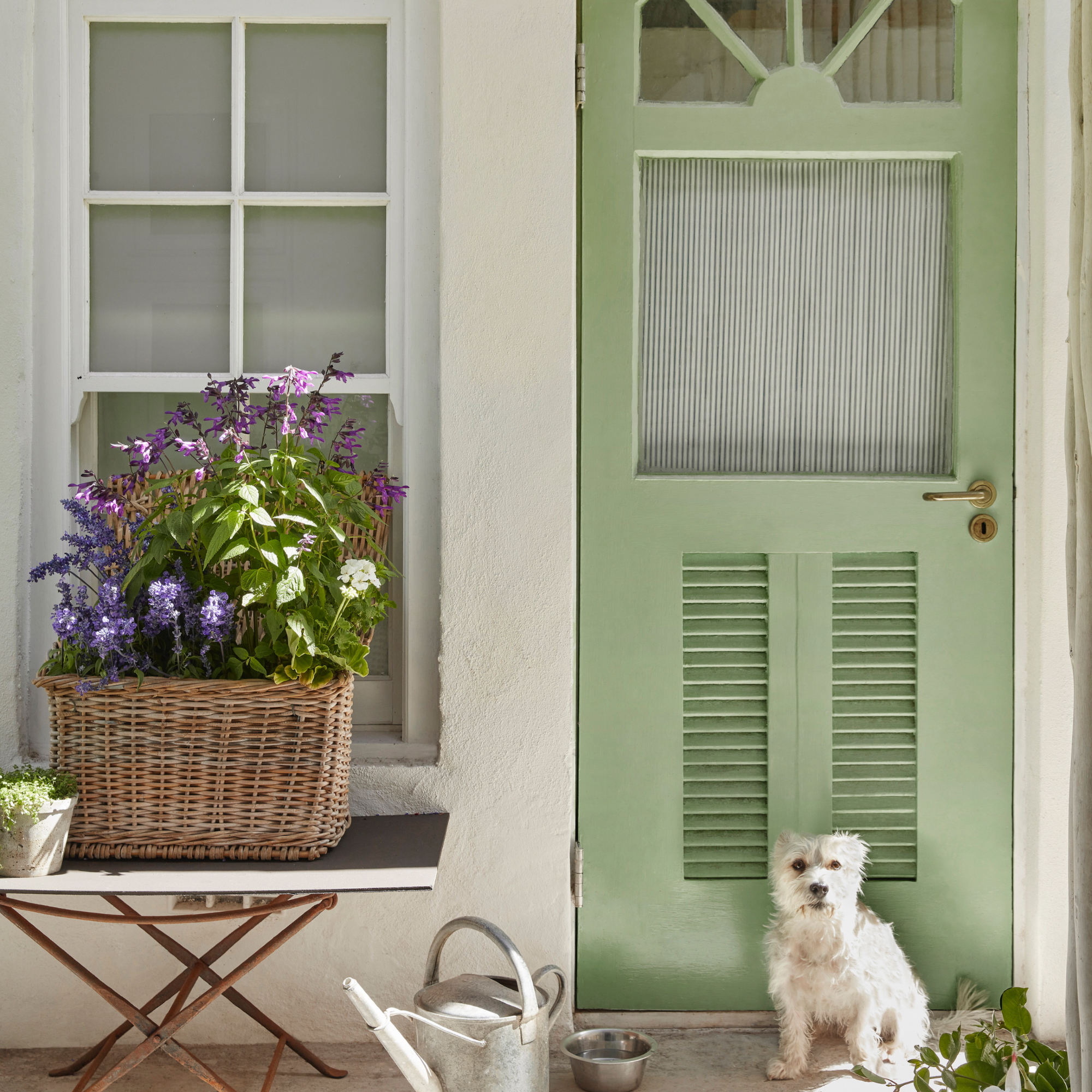 Cottage style exterior with pastel green front door, vintage table with basket planter, watering can, small dog