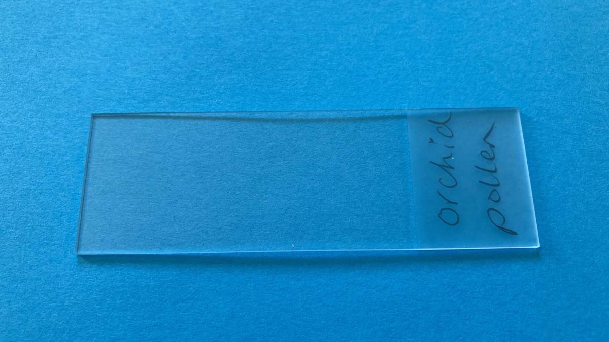 microscope slides