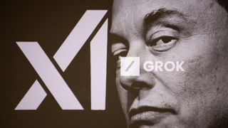 Elon Musk, xAI and Grok