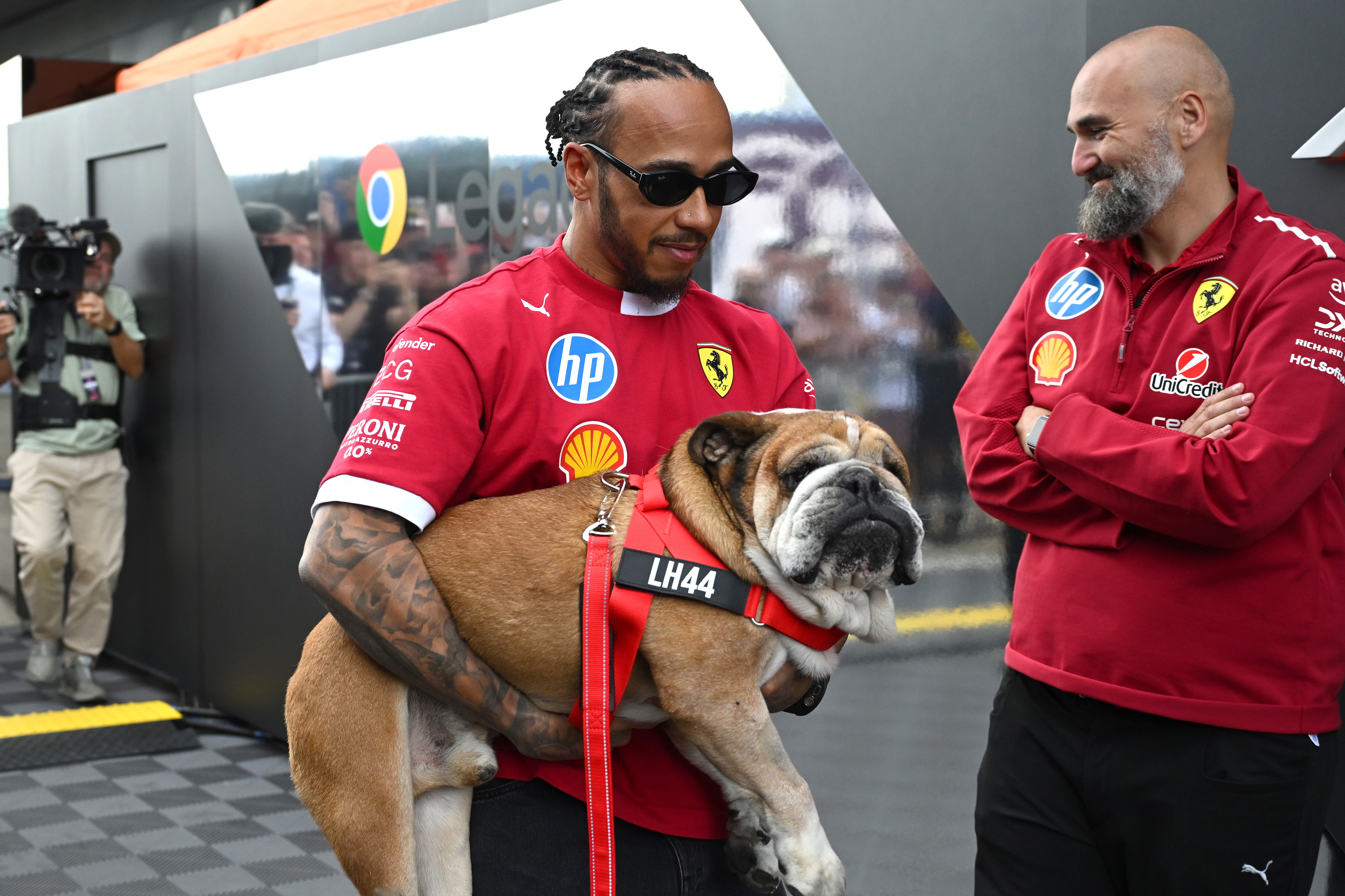 Lewis Hamilton in Ferrari top holding his large bulldog, Roscoe