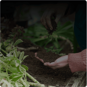 Gardening, Tailored to You